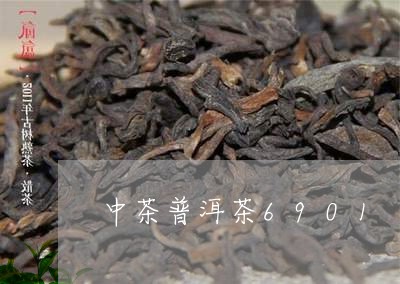 中茶普洱茶6901/2023091537481