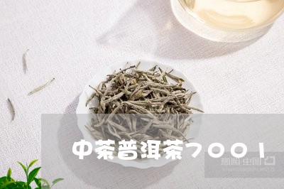 中茶普洱茶7001/2023091511705