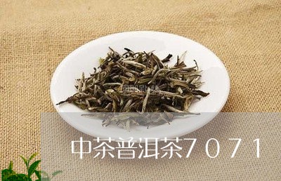 中茶普洱茶7071/2023091414259