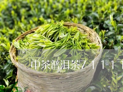 中茶普洱茶71111/2023120691735