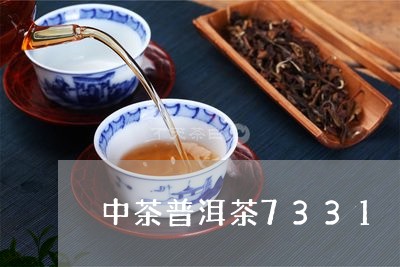 中茶普洱茶7331/2023070938505