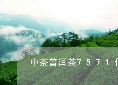 中茶普洱茶7571什么意思/2023052779573