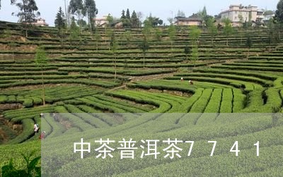 中茶普洱茶7741/2023091518383