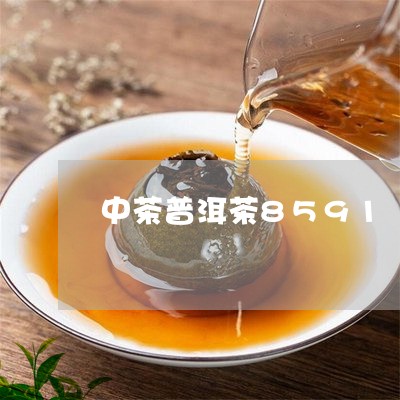 中茶普洱茶8591/2023070948582