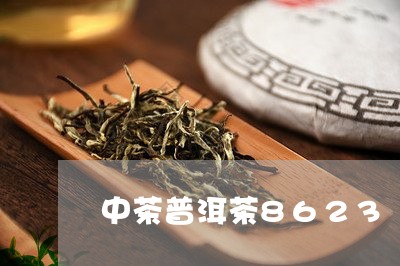 中茶普洱茶8623/2023070969263