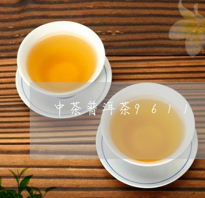 中茶普洱茶9611/2023091582695