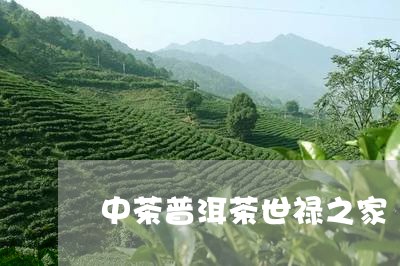 中茶普洱茶世禄之家/2023082898050