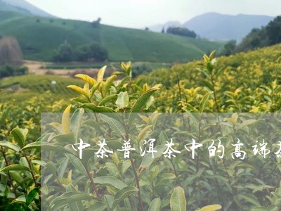 中茶普洱茶中的高端茶/2023062493837