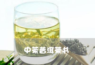 中茶普洱茶书/2023042804737