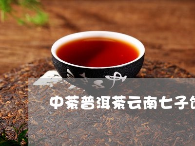 中茶普洱茶云南七子饼/2023062312593