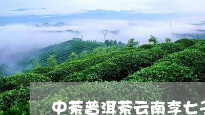 中茶普洱茶云南李七子/2023062496483