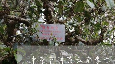 中茶普洱茶云南李七子/2023073195927