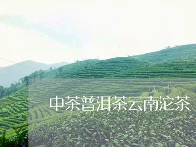 中茶普洱茶云南沱茶/2023091507069