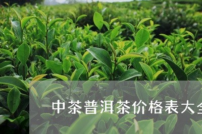 中茶普洱茶价格表大全/2023062203047