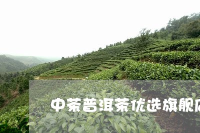 中茶普洱茶优选旗舰店/2023062358604