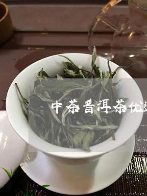 中茶普洱茶优选旗舰店/2023073036150