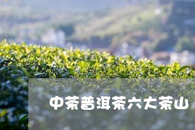 中茶普洱茶六大茶山/2023062371037