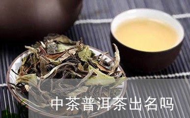 中茶普洱茶出名吗/2023082618269