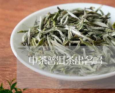 中茶普洱茶出名吗/2023110338148