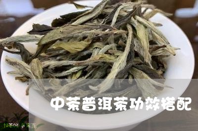 中茶普洱茶功效搭配/2023070941403