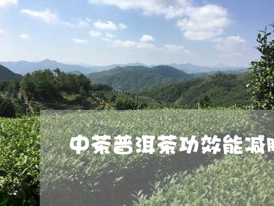 中茶普洱茶功效能减肥/2023062305916