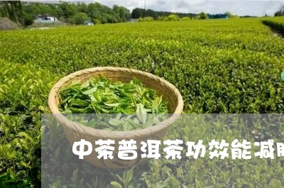 中茶普洱茶功效能减肥嘛/2023082838382