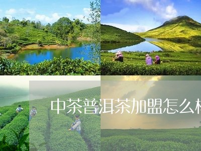 中茶普洱茶加盟怎么样/2023061350572