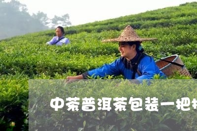 中茶普洱茶包装一把抓/2023093017049