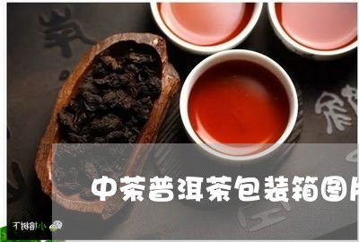 中茶普洱茶包装箱图片/2023120677281