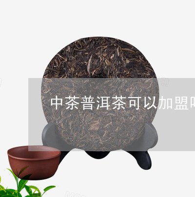 中茶普洱茶可以加盟吗/2023092522846