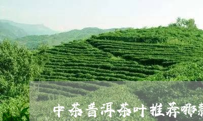 中茶普洱茶叶推荐哪款好/2023103114848