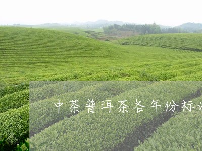 中茶普洱茶各年份标识/2023080244826