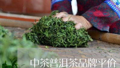 中茶普洱茶品牌平价/2023070987249