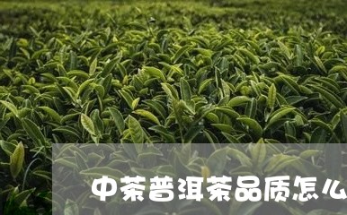 中茶普洱茶品质怎么样/2023062346147