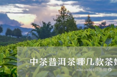 中茶普洱茶哪几款茶好喝点/2023110223804