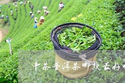 中茶普洱茶哪款最好喝/2023073186048