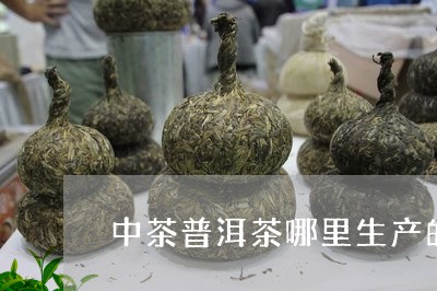 中茶普洱茶哪里生产的/2023100703947