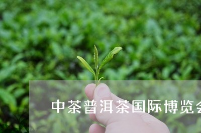 中茶普洱茶国际博览会/2023093024138