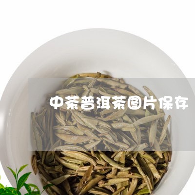 中茶普洱茶图片保存/2023091509583