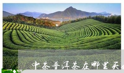 中茶普洱茶在哪里买好/2023082877270