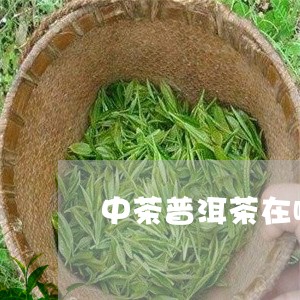 中茶普洱茶在哪里买的到/2023081481705