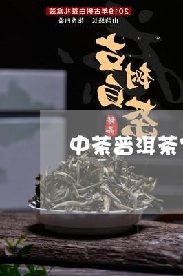 中茶普洱茶官网价格表红印铁饼价/2023060269481