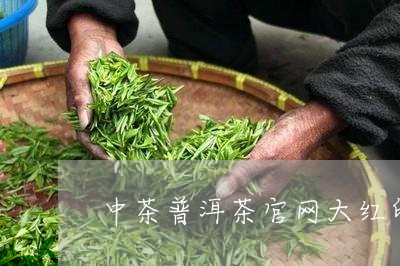 中茶普洱茶官网大红印/2023062236059