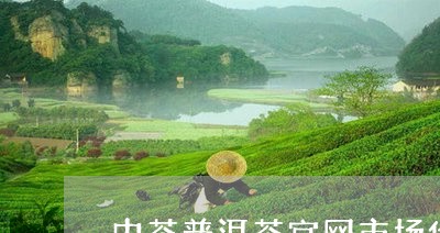 中茶普洱茶官网市场价/2023062257361