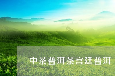 中茶普洱茶宫廷普洱/2023091570593