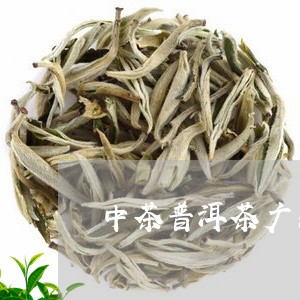 中茶普洱茶广东/2023101695050