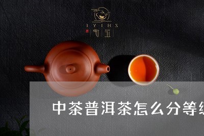 中茶普洱茶怎么分等级/2023062375926