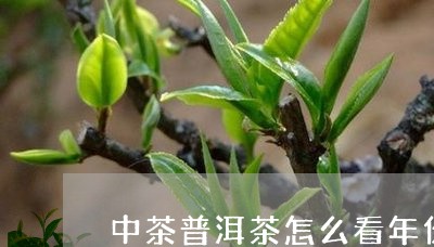 中茶普洱茶怎么看年份和品牌/2023102517470