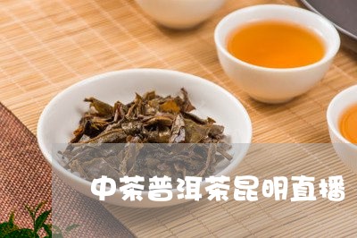 中茶普洱茶昆明直播/2023070926260