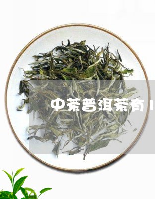 中茶普洱茶有1000g的饼吗/2023110529481